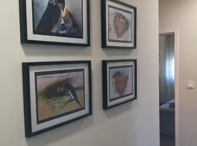 Casa Do Ninho - Entre O Campo E A Дом отдыха *